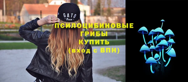 мдпв Лагань