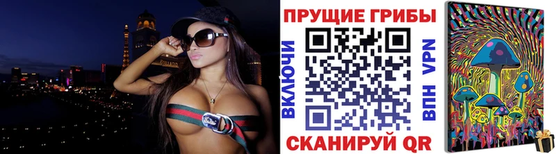 Псилоцибиновые грибы Psilocybe  Ачхой-Мартан 